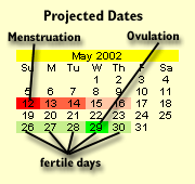 Projected Menstrual Dates Sample Chart